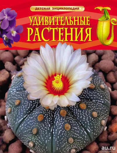 Лот: 11273550. Фото: 1. 🕮Удивительные растения Детская... Познавательная литература