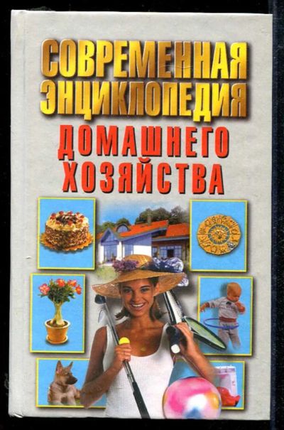 Лот: 23434046. Фото: 1. Современная энциклопедия домашнего... Домоводство