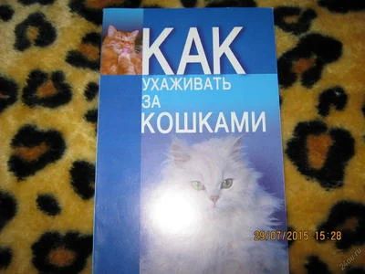 Лот: 5903346. Фото: 1. Книга о кошках. Справочники