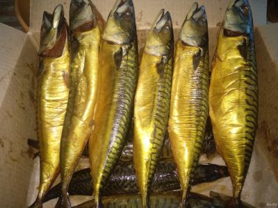 Лот: 15637046. Фото: 1. Скумбрия х/к. Стоимость за 1 кг. Икра, рыба, морепродукты
