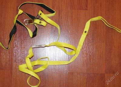 Лот: 2285939. Фото: 1. ошейник для кошки. Ошейники, одежда, конное снаряжение