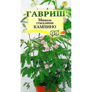 Лот: 3323490. Фото: 1. семена Мимоза стыдливая кампино. Горшечные растения и комнатные цветы