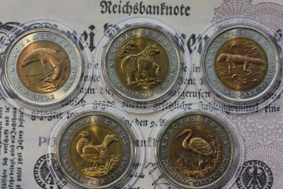 Лот: 10730530. Фото: 1. Красная книга 1993 года - полное... Россия после 1991 года