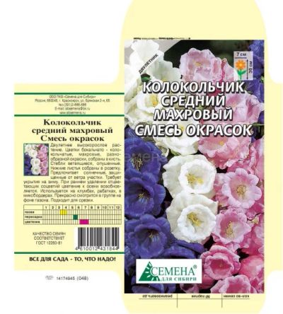 Лот: 5065050. Фото: 1. Колокольчик средний махр смесь... Садовые цветы