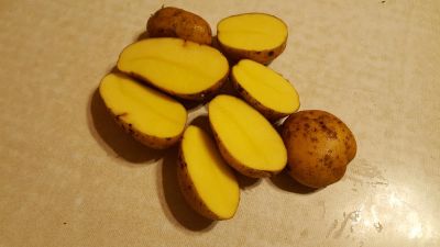Лот: 11428413. Фото: 1. Картофель семенной 1 репродукция... Картофель