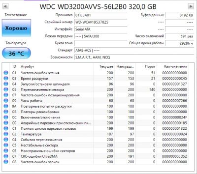Лот: 17165847. Фото: 1. Очень надежный, отказоустойчивый... Жёсткие диски (HDD)