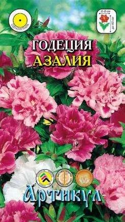 Лот: 11024302. Фото: 1. Годеция Азалия 0,2гр. Садовые цветы