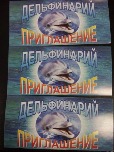 Лот: 6671937. Фото: 1. Билеты в Дельфинарий. Развлечения, мероприятия