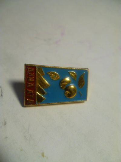 Лот: 6771179. Фото: 1. Алма-Ата 1. Другое (значки, медали, жетоны)