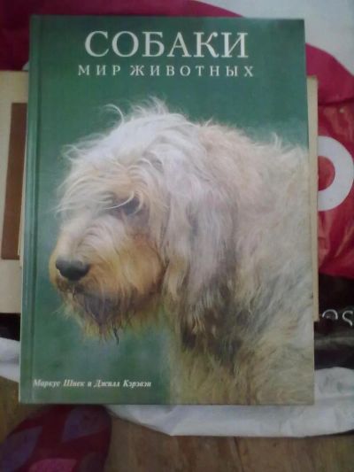 Лот: 7864592. Фото: 1. Собаки мир животных. Другое (детям и родителям)