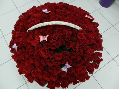 Лот: 6352325. Фото: 1. Шикарный букет из 303 розы. Свежие цветы