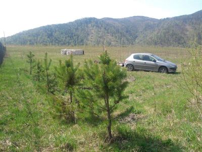 Лот: 1592057. Фото: 1. 2 участка по 30 соток в п.Манский... Земельные участки