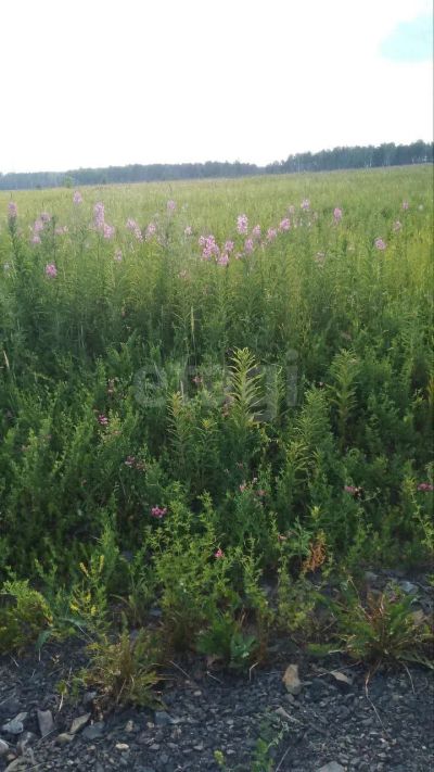 Лот: 25671891. Фото: 1. участок , дачный посёлок ЗАО Устюгское... Земельные участки