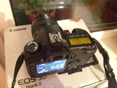 Лот: 4459688. Фото: 1. Canon 5D mark 2 body (на гарантии... Цифровые зеркальные