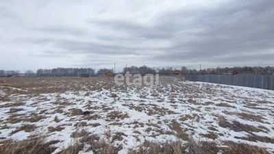 Лот: 20612808. Фото: 1. Продам участок 10.5 сот. Новосибирское... Земельные участки
