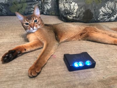 Лот: 18248423. Фото: 1. Chord Mojo - ЦАП / усилитель для... Усилители, эквалайзеры