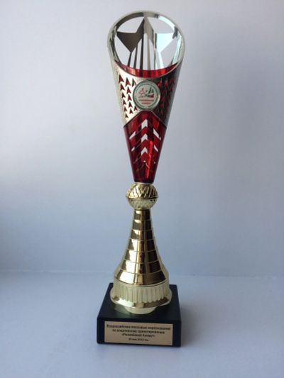Лот: 15572863. Фото: 1. Кубок. Спортивная символика и атрибутика