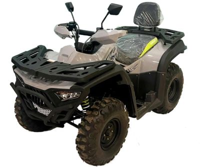 Лот: 25800764. Фото: 1. Квадроцикл BASHAN Explorer 300... Снегоходы, квадроциклы