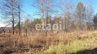 Лот: 25290865. Фото: 1. участок , СНТ Кедр СНТ Кедр, 791... Земельные участки