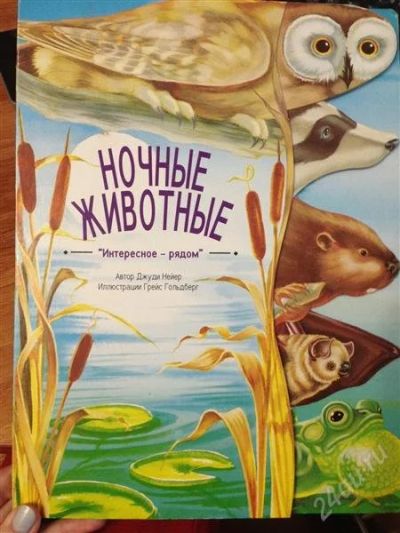 Лот: 2748266. Фото: 1. Ночные животные. Другое (детям и родителям)