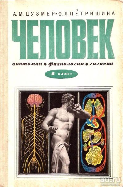 Лот: 15210973. Фото: 1. Цузмер Анна, Петришина Оксана... Для школы