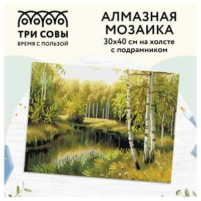 Лот: 25013386. Фото: 1. Алмазная мозаика ТРИ СОВЫ "Летний... Мозаика, фреска