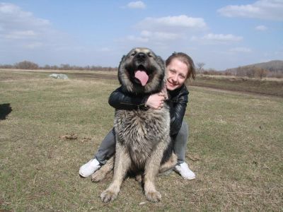 Лот: 5945116. Фото: 1. Отдам в добрые руки. Собаки, щенки