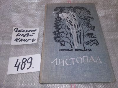 Лот: 16417268. Фото: 1. Лохматов Н.П. Листопад .. Честный... Художественная