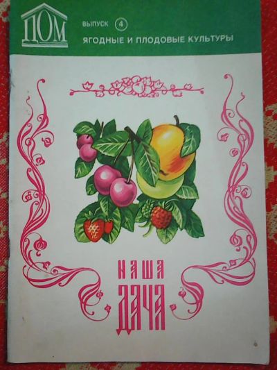 Лот: 9405328. Фото: 1. Наша дача. Ягодные и плодовые... Сад, огород, цветы