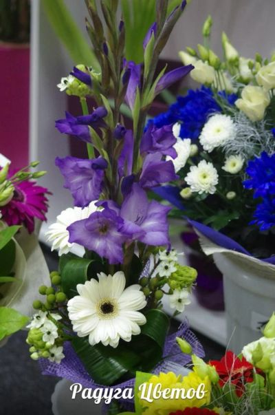 Лот: 6704951. Фото: 1. Фирменный букет от Радуги Цветов... Свежие цветы