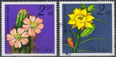 Лот: 16495426. Фото: 1. 1981. Польша. Сочные цветы. н... Марки