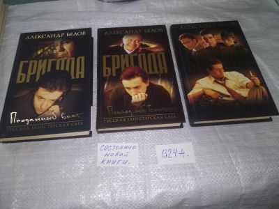 Лот: 19662015. Фото: 1. Бригада ... Одним лотом 3 книги... Художественная