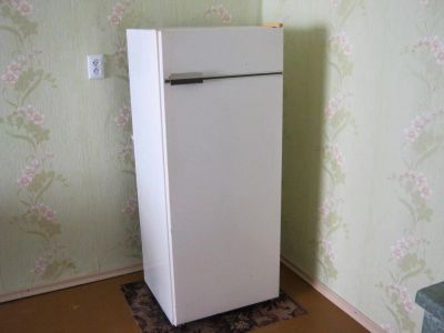 Лот: 4042526. Фото: 1. Холодильник Бирюса. Холодильники, морозильные камеры