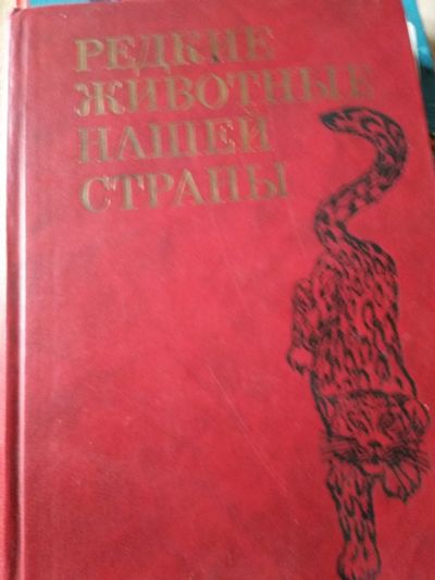 Лот: 17791048. Фото: 1. Книга редкие животные. Книги