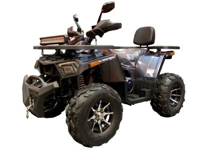 Лот: 25800769. Фото: 1. Квадроцикл TAO MOTOR ATV 200 Lux. Снегоходы, квадроциклы