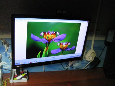Лот: 6195743. Фото: 1. Монитор LG IPS 224. ЖК-мониторы