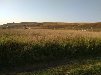 Лот: 12088795. Фото: 1. участок Дрокино ДНТ "Молодежное... Земельные участки