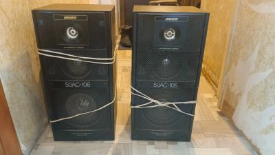 Лот: 24864301. Фото: 1. Вега 50АС-106. Пассивные акустические системы