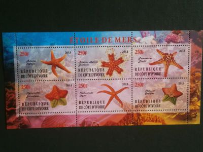 Лот: 9914315. Фото: 1. Марки, Морские звезды, Декоте... Марки
