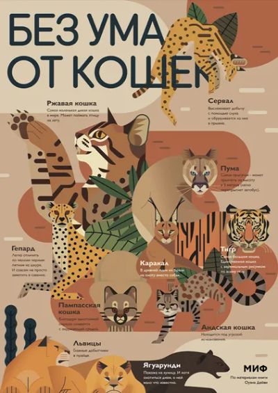 Лот: 24462935. Фото: 1. Плакат «Без ума от кошек». Другое (литература, книги)