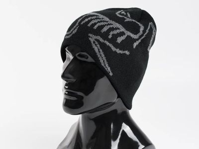 Лот: 24973116. Фото: 1. Шапка Arcteryx. Шарфы, платки