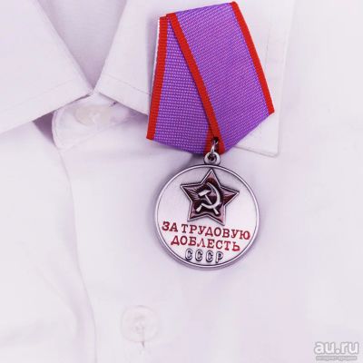Лот: 14613296. Фото: 1. Медаль За Трудовую Доблесть. Другое (значки, медали, жетоны)