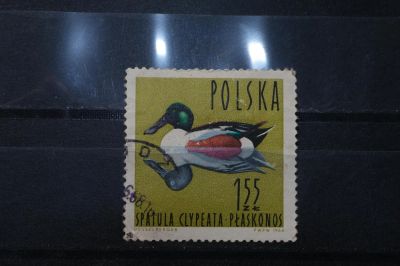 Лот: 3961211. Фото: 1. марка 9 Польша 1964 фауна. Марки