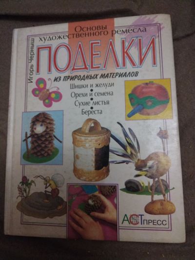 Лот: 21103067. Фото: 1. Книга Поделки из природных материалов. Рукоделие, ремесла