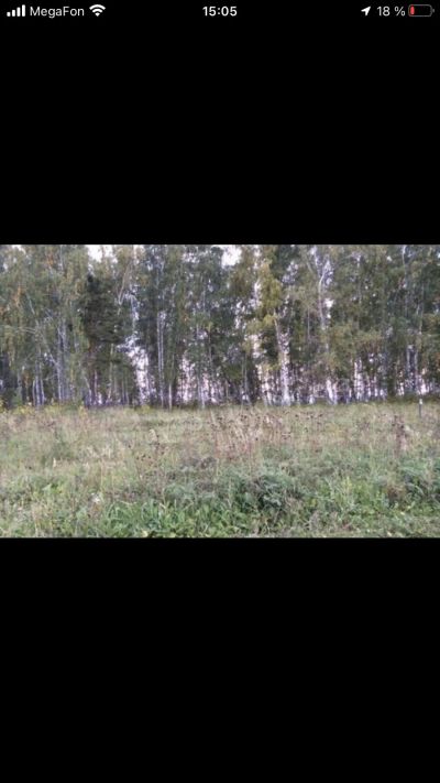 Лот: 18623633. Фото: 1. Участок в Емельяново ЛПХ 10сот... Земельные участки