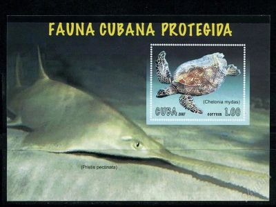 Лот: 2228899. Фото: 1. куба 2007 фауна блок. Марки