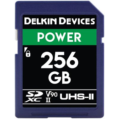 Лот: 21438979. Фото: 1. Карта памяти Delkin Devices 256GB... Карты памяти