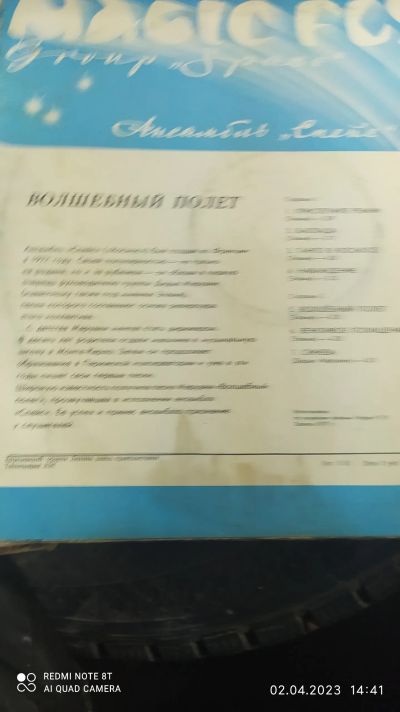 Лот: 20185384. Фото: 1. Пластинки. Аудиозаписи