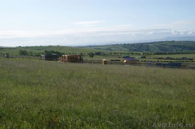 Лот: 8230669. Фото: 1. куплю участок в солонцах. Земельные участки