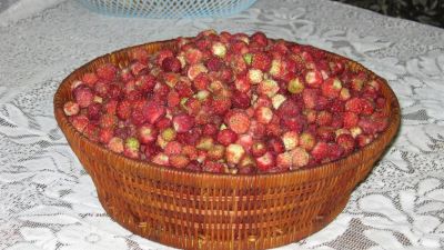 Лот: 2989773. Фото: 1. Лесная клубника (Очищенная). Ягоды, орехи